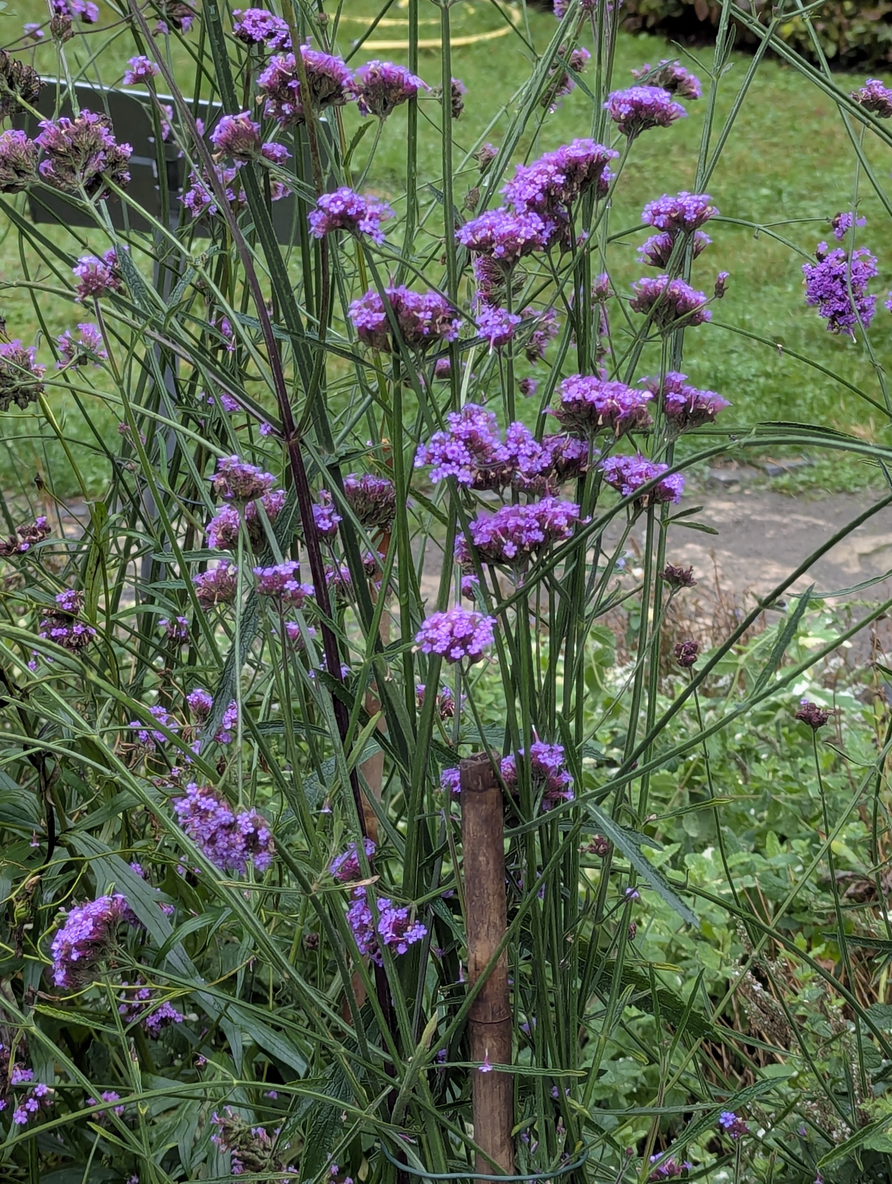Botonic Gardens, Muenster, Germany
